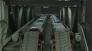 Automatic Palletizer (Palletizing Robot)